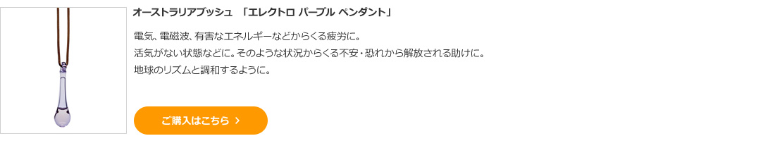 オーストラリアブッシュ　「エレクトロ パープル ペンダント」