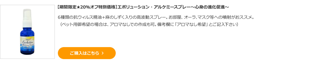 【期間限定★20％オフ特別価格】エボリューション・アルケミースプレー～心身の進化促進～