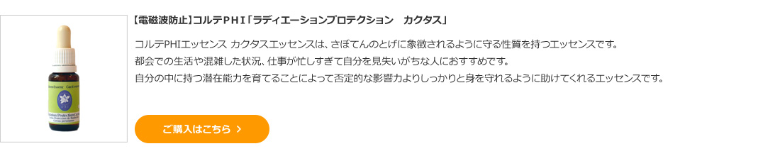 【電磁波防止】コルテＰＨＩ「ラディエーションプロテクション　カクタス」