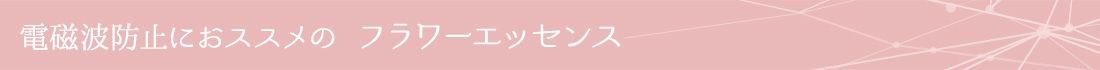 電磁波防止にオススメのフラワーエッセンス