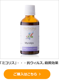 「ミコリス」・・・抗ウィルス、殺菌効果 
