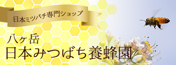 日本ミツバチ専門ショップ
「八ヶ岳｜日本みつばち養蜂園」