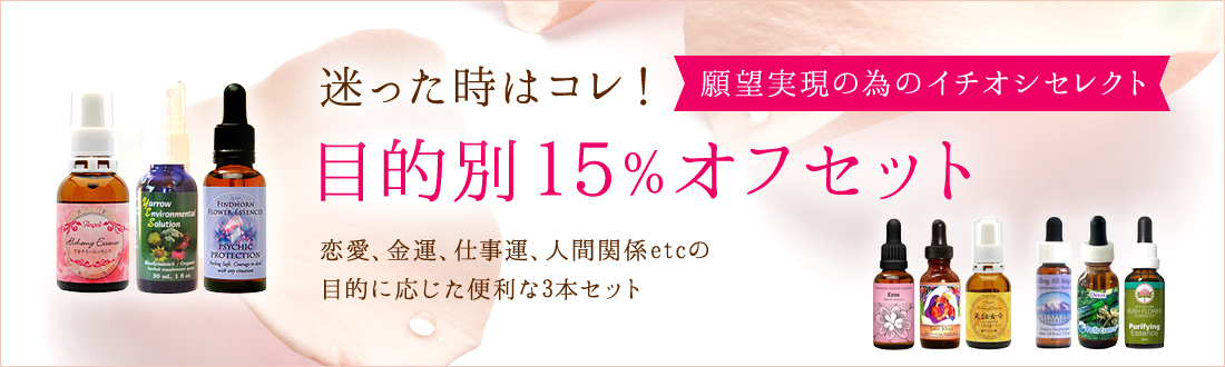 迷った時はコレ！　目的別15%オフセット