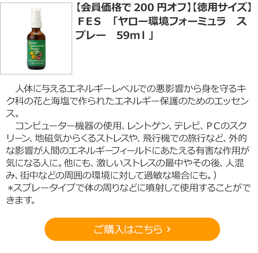 【会員価格で200円オフ】【徳用サイズ】ＦＥＳ　「ヤロー環境フォーミュラ　スプレー　59ｍｌ」