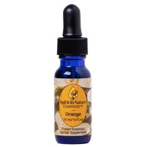 【専用】【在庫セール】#31ブレスドビーアンジェリックエッセスフラワーエッセンス 専用】【在庫セール】#31ブレスドビーアンジェリックエッセス